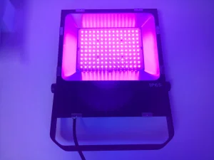 UV Flood Light IP65