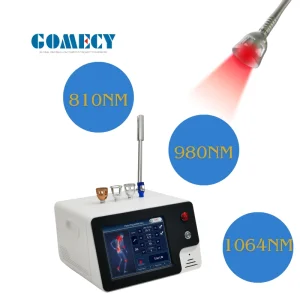 Gomecy Hot Sale Physiotherapy 810nm 980nm Laser Therapy Machine for Clinic Massage Use