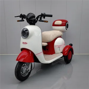 OEM Electric Tricycle V1