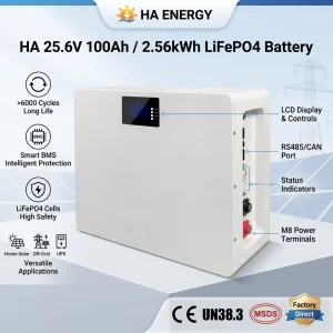 Wall Mounted LiFePO4 Battery 51.2V