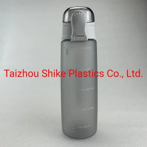 Eco Friendly New Tritan Plastics Recyclable Factory Sports 1L Motivational Water Bottle