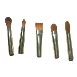 5-Piece Eye Shadow Makeup Brushes Kit