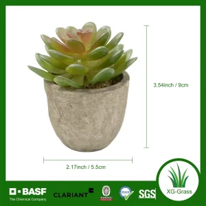 Lifelike Mini Succulent Art