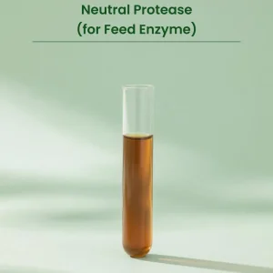 Halal Protease