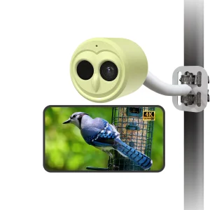 Smart AI Bird Watching Camera Feeder