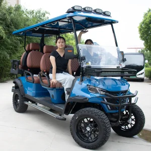 Robetaa 6 Passenger Cart