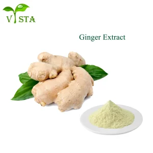 Factory Supply Plant Extract Ginger Root Extract Gingerol Powder 5% CAS No. 23513-14-6