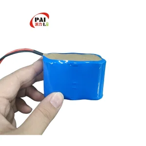 Customized High Temperature Emergency Light Ni-MH/NiMH Rechargeable Secondary Battery Pack AA, AAA, a, Sc, D, F