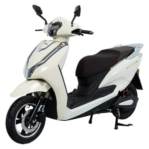 China Top Two-wheeled Electric Bike Model: FH