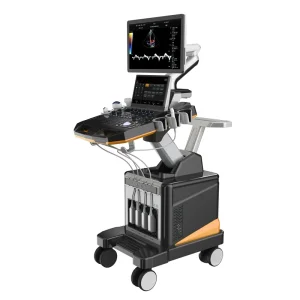 Ultrasound System