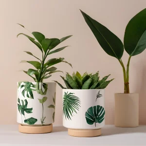 Cheap Tropical Leaf Ceramic Plant Pots with Wooden Bases - Stylish Indoor Home Decor VDLK1812 Manufacturer, Factory