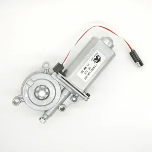 Miniature Lwzd110r-20t DC Electric Motor