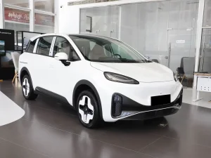 Exquisite and Compact New Energy Hatchback Arcfox Koala S 2024 PRO