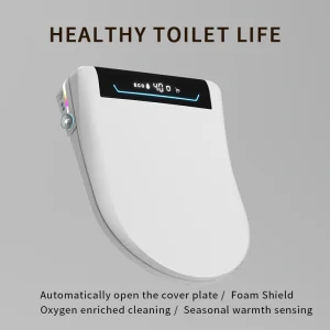 New Modern Bathroom Electric Bidet with Remote Intelligent Smart Toilet Seat