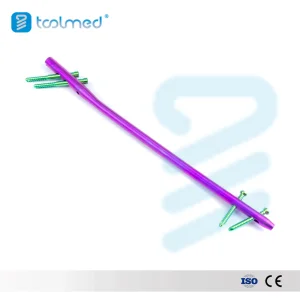 Femur Intramedullary Nail
