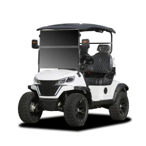 2026 Custom Manufacturer Wholesale 2+4+6 Seater Seat Hunting Lithium Electric Utility off Road Lifted Golf Cart for Sale