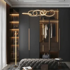 Modern Walk in System Organizer