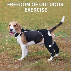 Pet Hip Brace