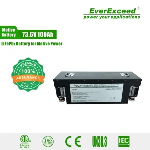 Rechargeable 24V 100ah Solar Storage Li Ion Lithium Ion LiFePO4 Lithium Battery for RV/Golf Cart/Yacht/Marine/Motorhome/Agv