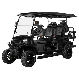 Customized Luxury Golf Cart