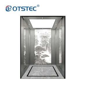 Customized 5 Stop Passenger Elevator with Small Machine Room
