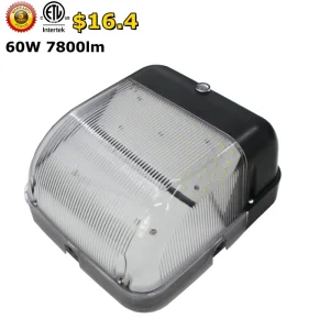 Outdoor Wall Light