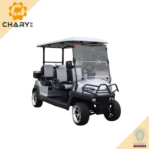 Luxury 4 Seater Golf Cart