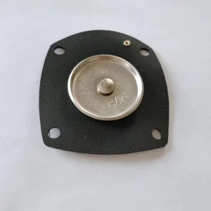 Repair Diaphragm