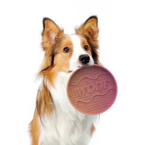Paisen Silicone Anti-Spill Bowl
