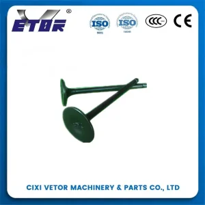 High-Quality CG-150 motorcycle valve