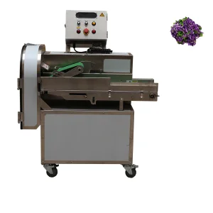 Professional Vegetable and Fruit Cutter for Restaurants and Hotels