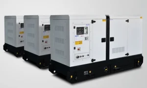 مجموعة مولدات مخصصة حسب الطلب مزودة بمحركات 300kw من كامينز ومولدات ليروي سومر متوافقة مع الغاز الطبيعي المسال والغاز الطبيعي المضغوط وغاز البترول المسال والوقود المزدوج والغاز الطبيعي والبيوجاز