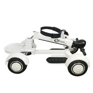 Golf Board Scooter