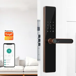 Cheap Fingerprint Biometric Smart Lock TTLock Tuya WIFI LOCK Ic Card Key Smart Door Lock