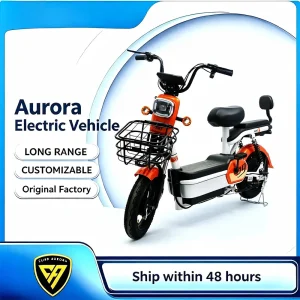 Seattle Mini Electric Bike