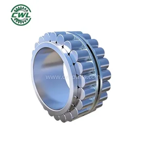 China CPM2401 Double Row Cylindrical Roller Bearing for Gear Box Supplier, Exporters