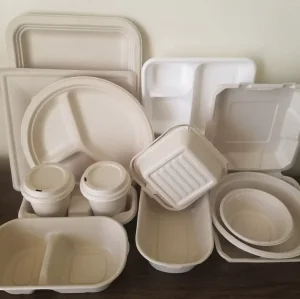 100% Embalagem de Alimentos Descartável Clamshell para Almoço em Caixa Bento de Bagaço de Cana de Açúcar Biodegradável e Ecológica