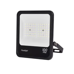 Module Security Flood Light