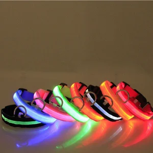 LED Dog Collar
