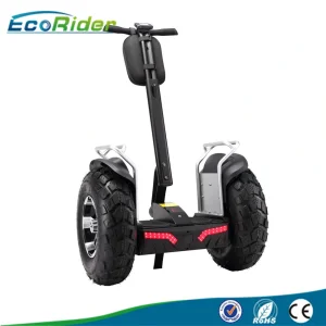 New Design off Road 2 Wheel Electric Self Balancing Scooter