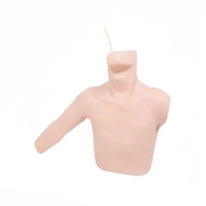 Central peripheral venous perforation model