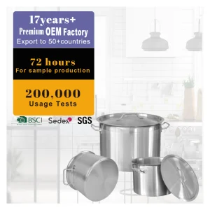 Stainless Steel Stock Pot