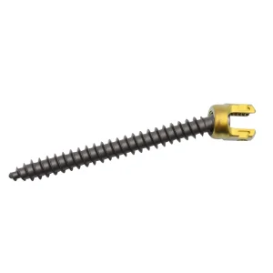 Geasure Sacral Reduction Implants