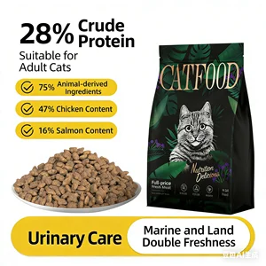 Premium Cat Dry Food Real Chicken Salmon