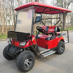 Brand New Gas Type and Electric Golf Carts 2 4 6 8 Seats off-Road Sightseeing Golf Cart