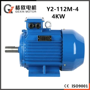 AC Induction Gear Motor