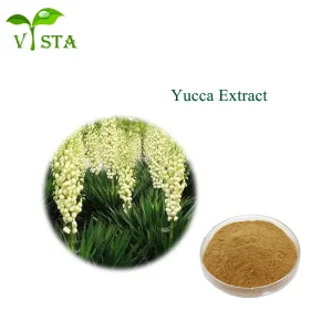 Factory Supply Plant Extract 80% Yucca Saponins Water Soluble Yucca Schidigera Leaf Extract Yucca Extract