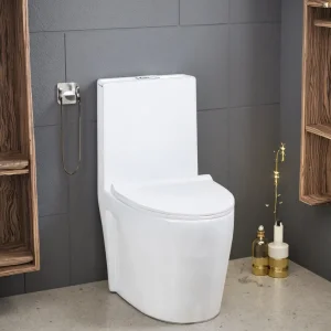 Modern White Siphon Flushing Bathroom Sanitary Ware Ceramic One Piece Wc Toilet with Soft Closing Seat