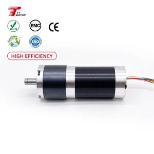 GMP60-TEC56100 Brushless Dc Motor with Gear Reduction 12V RATIO 1/168 Bldc Car Electric Motor
