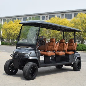 2026 Popular Sport 6 Seat 5KW Side By Side